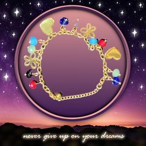 Stainless steel anklet and brac.